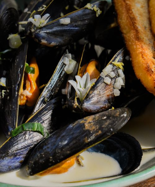 A rustic wooden table displays a bowl of steamed mussels, served in a creamy white sauce and garnished with herbs and small white edible flowers. Two slices of toasted bread accompany the dish, perfect for soaking up the flavorful sauce. The outdoor setting, with natural light illuminating the mussels, suggests a casual yet refined dining experience at a restaurant in Clifton. This seafood dish, served at The Square Club, a well-known restaurant in Bristol, embodies the fusion of comfort and gourmet quality in an inviting environment.