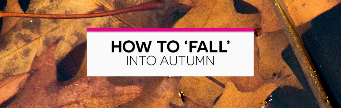 How to Fall into Autumn