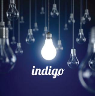 Indigo