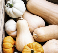 The Ultimate Guide to Seasonal Ingredients in Autumn