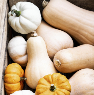 The Ultimate Guide to Seasonal Ingredients in Autumn